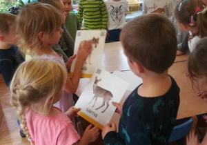 Dzieci dotykają trójwymiarowych zdjęć zwierząt.